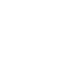 Estampa Pau Logo