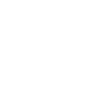 Estampa Pau Logo